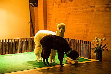 难度降低！《战地６》新增“快速转身瞄准”功能